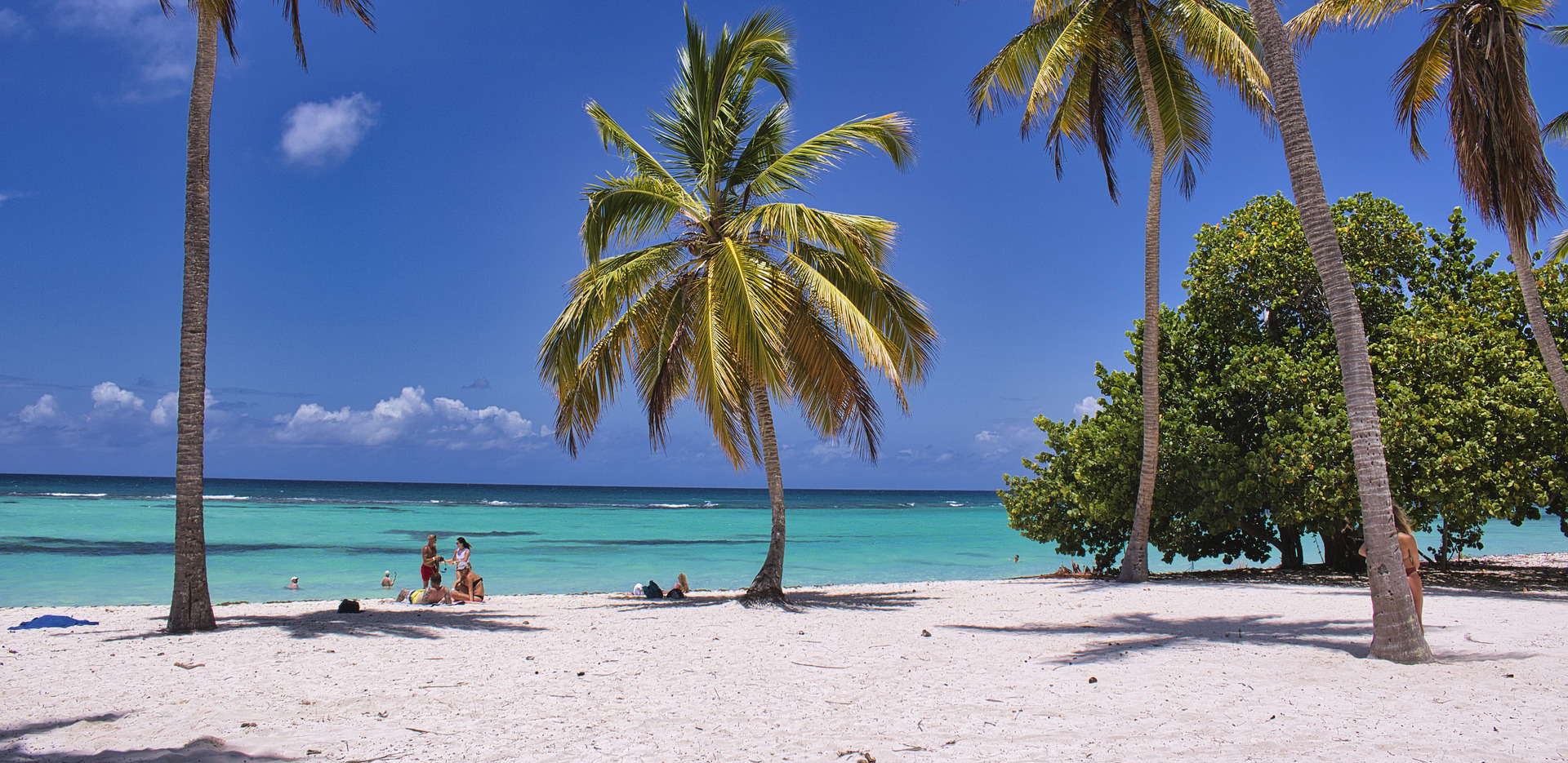 Plages coraliennes